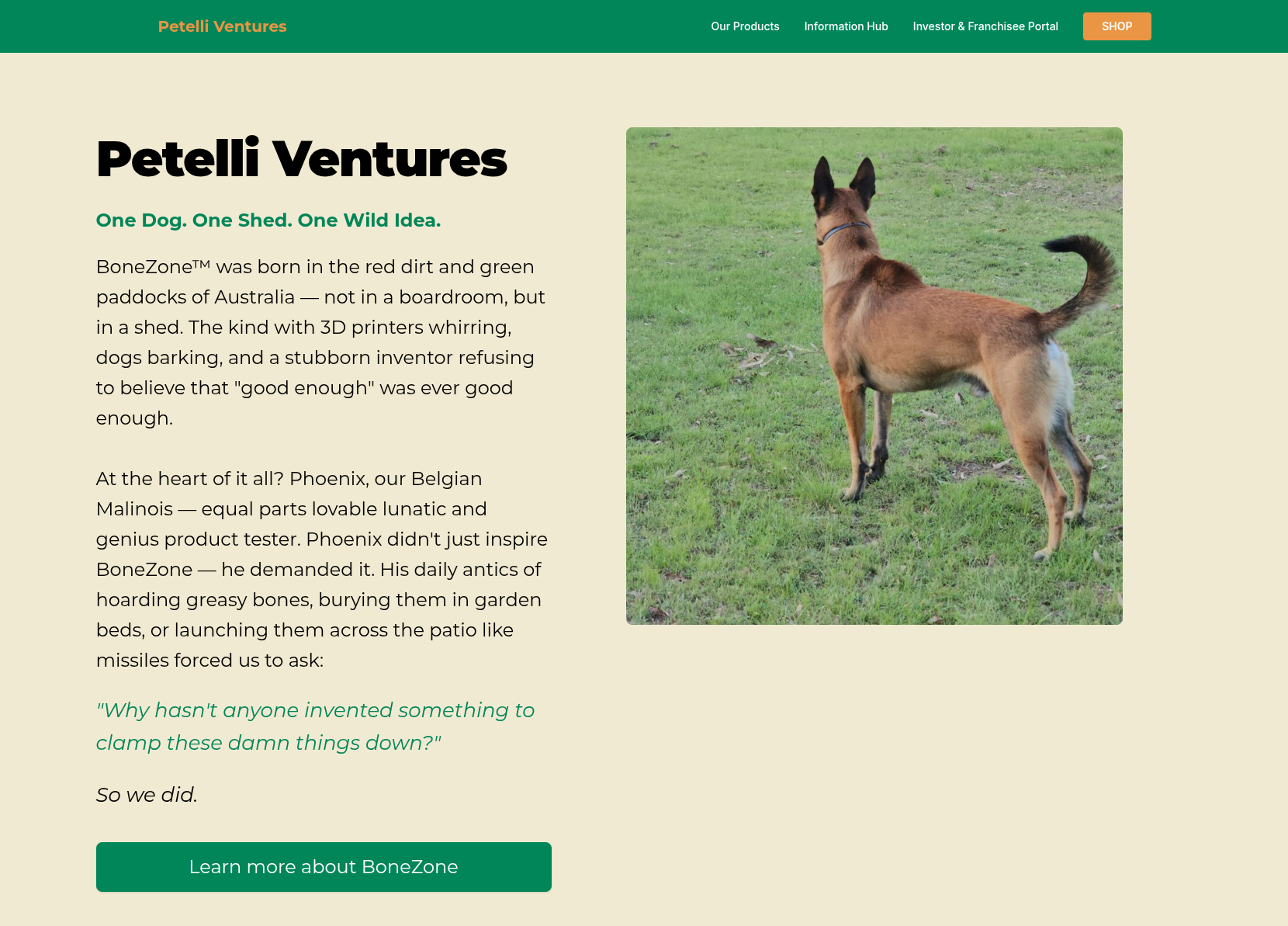 Petelli Ventures Homepage